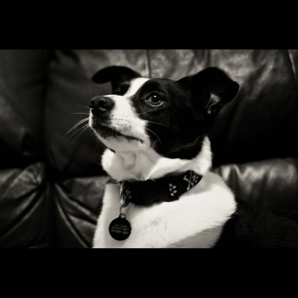 Meet your Posher, Amberlee